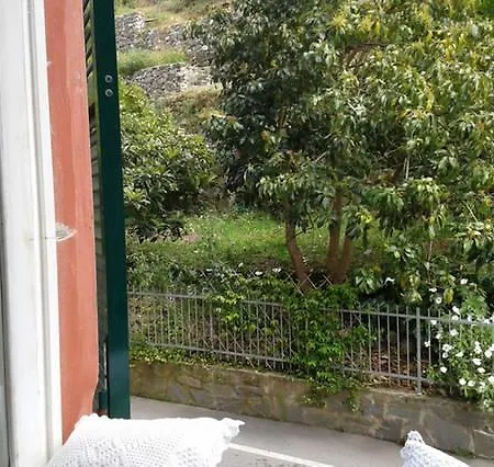 Apartment Monterosso 81