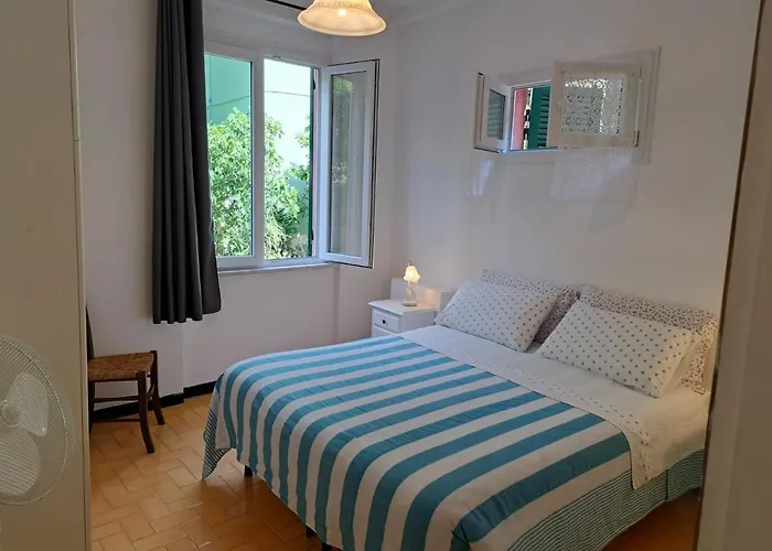 Monterosso 81